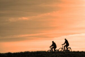 Lire la suite à propos de l’article Ornitho-Baladeàvélo – Dimanche 20 Juin