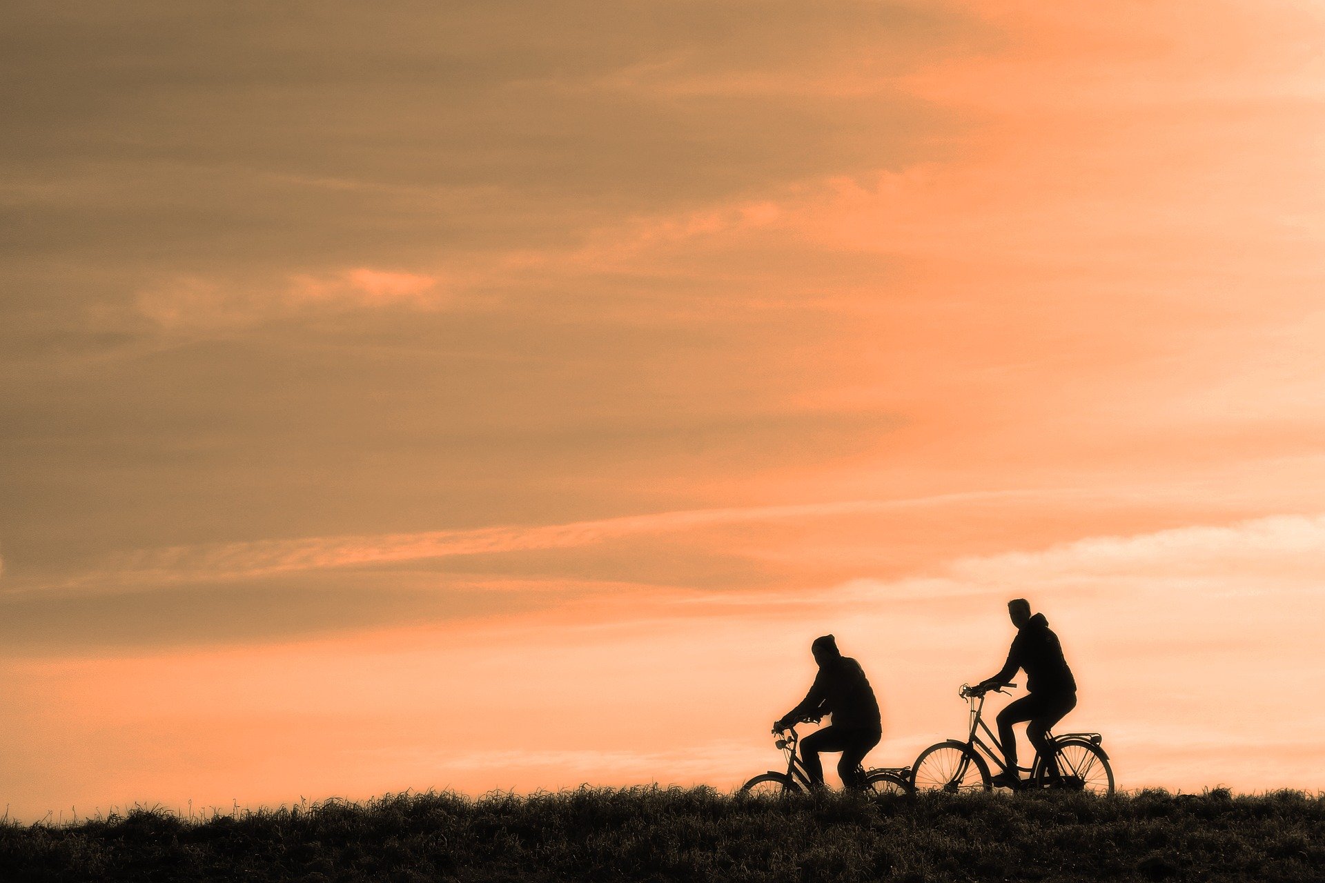 Lire la suite à propos de l’article Ornitho-Baladeàvélo – Dimanche 20 Juin